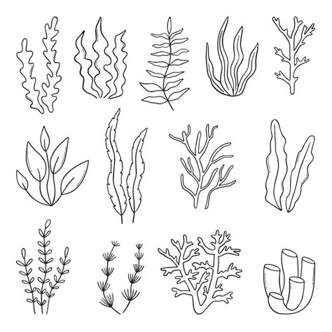 UNDERWATER PLANT DRAWING .